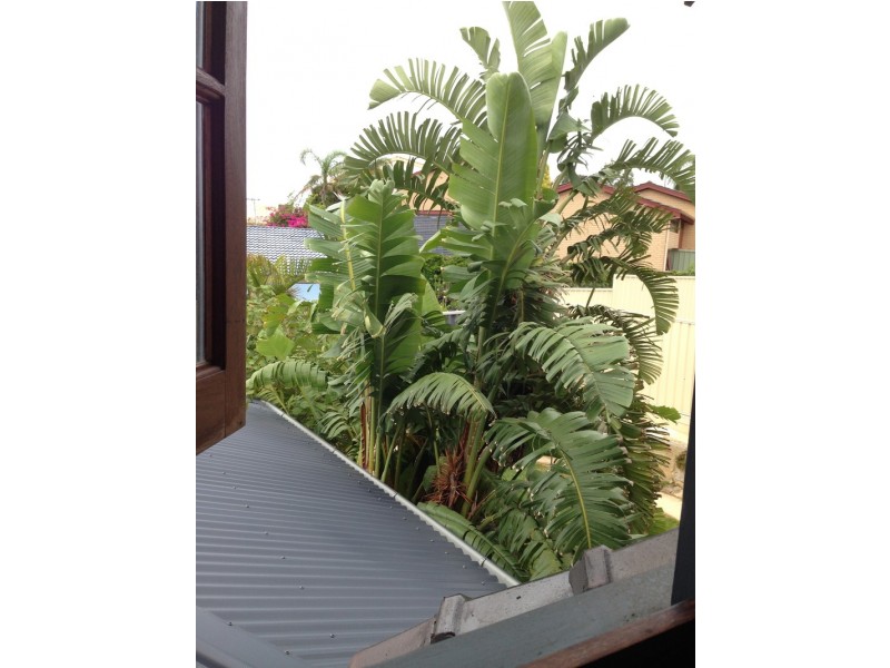 3 Drury Court, Marmion WA 6020