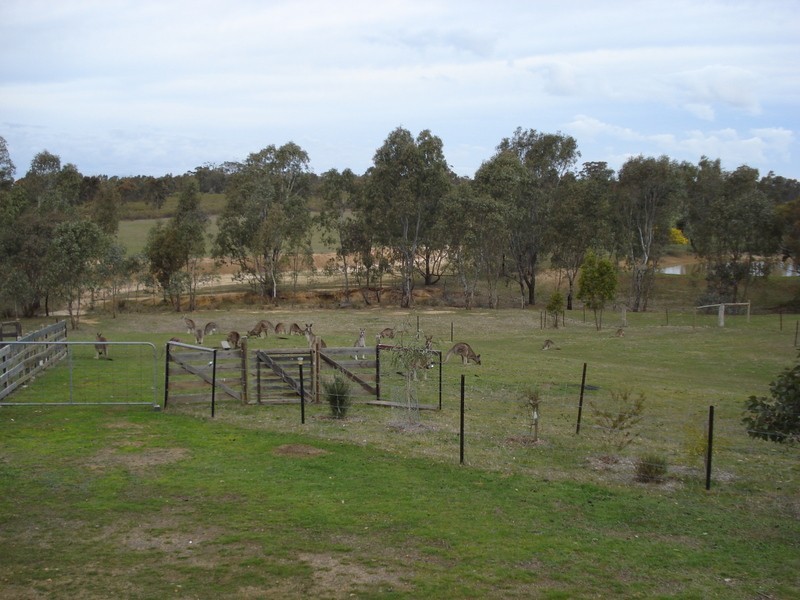 108 Wilson Road, Heathcote VIC 3523