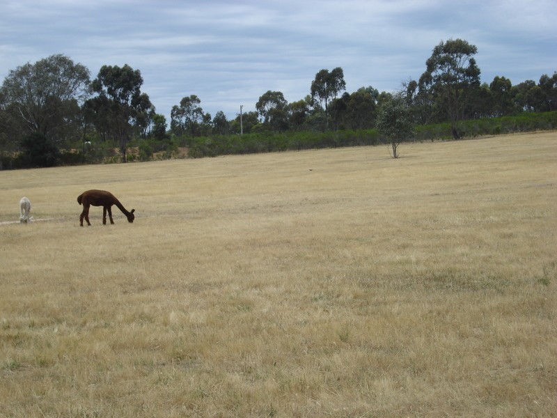 108 Wilson Road, Heathcote VIC 3523