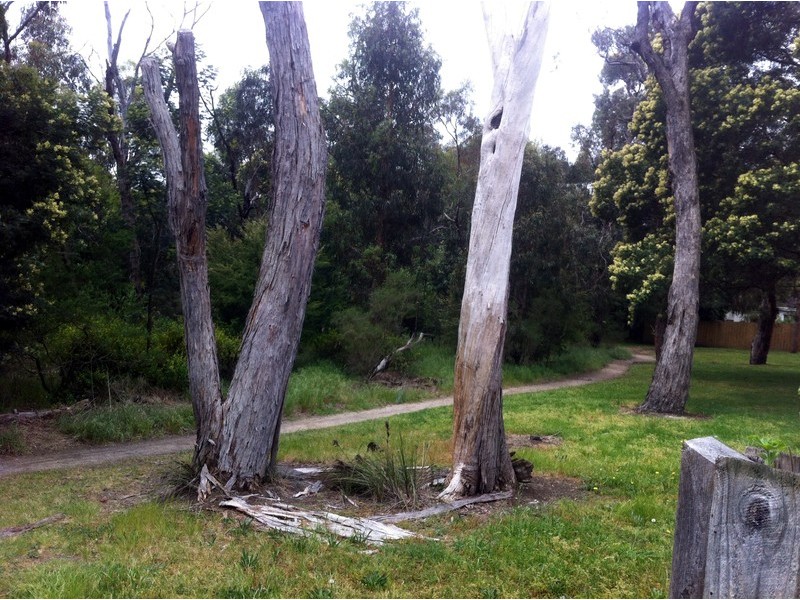 5/13 John Street, Blackburn VIC 3130