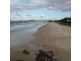 Currumbin QLD 4223