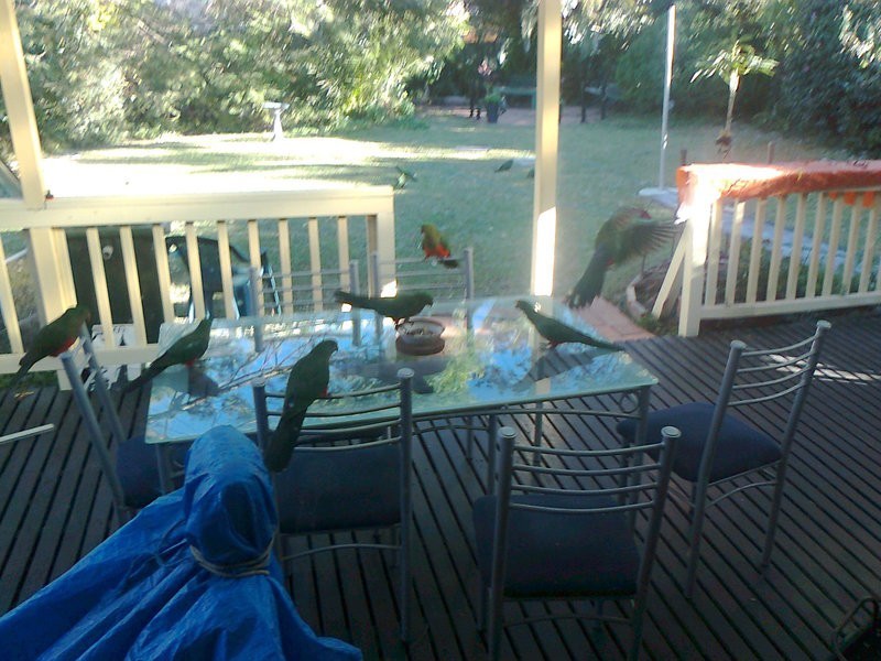 Farmborough Heights NSW 2526