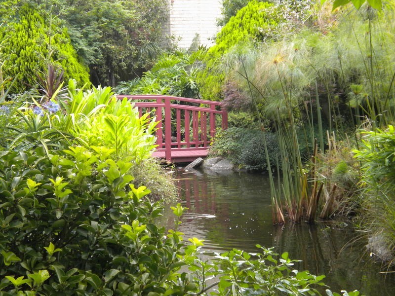 50/7-17 Waters Road, Neutral Bay NSW 2089