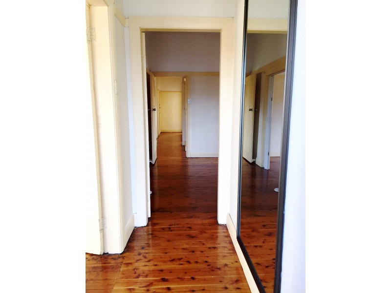 171 Storey Street, Maroubra NSW 2035