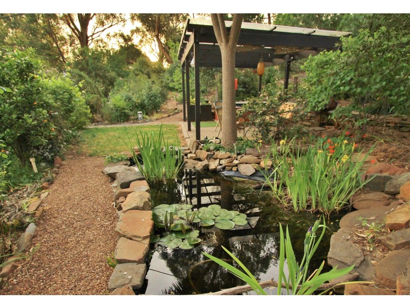 21 William street, Springton SA 5235