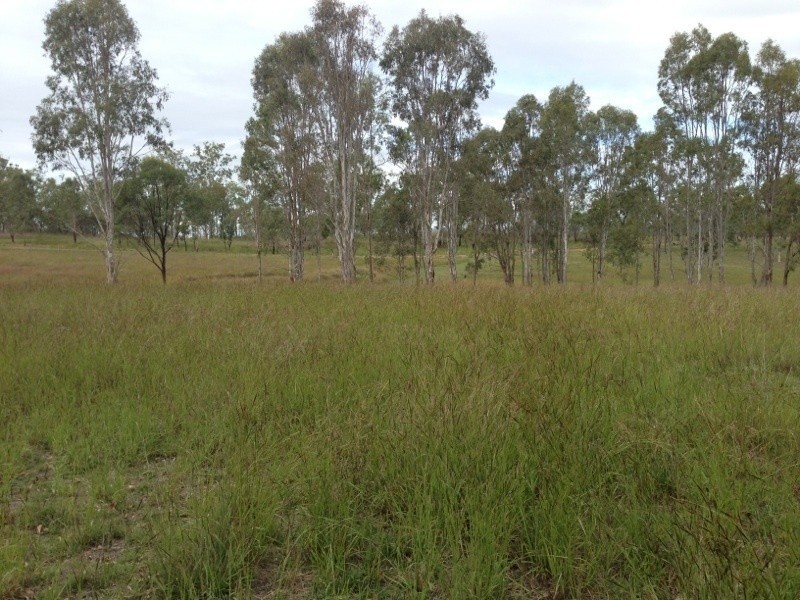 Lot 8 Cahill Road, Woolooga QLD 4570