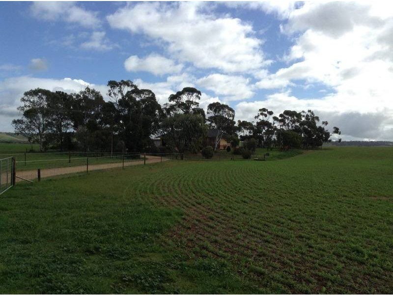 180  Neindorf Road, Robertstown SA 5381
