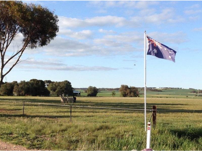 180  Neindorf Road, Robertstown SA 5381