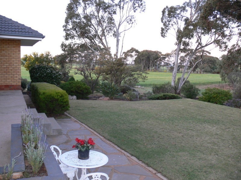 180  Neindorf Road, Robertstown SA 5381