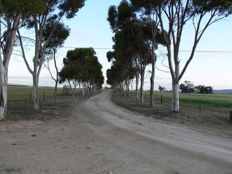 180  Neindorf Road, Robertstown SA 5381