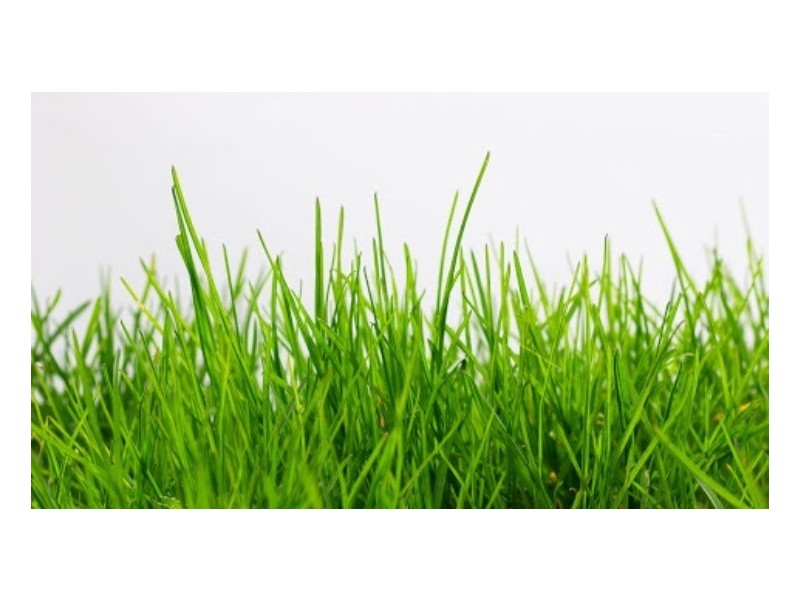 11 SCADDEN STREET, Kukerin WA 6352