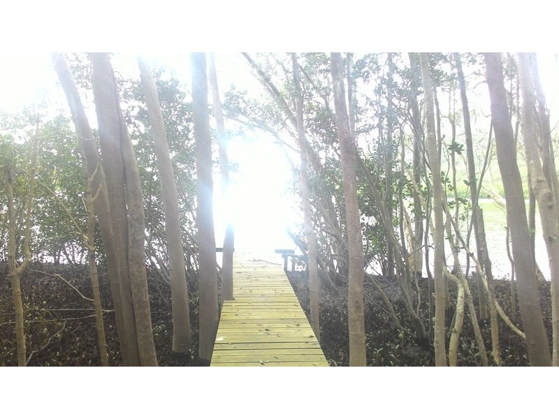 5247 Wisemans Ferry Road, Spencer NSW 2775