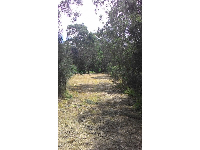 5247 Wisemans Ferry Road, Spencer NSW 2775