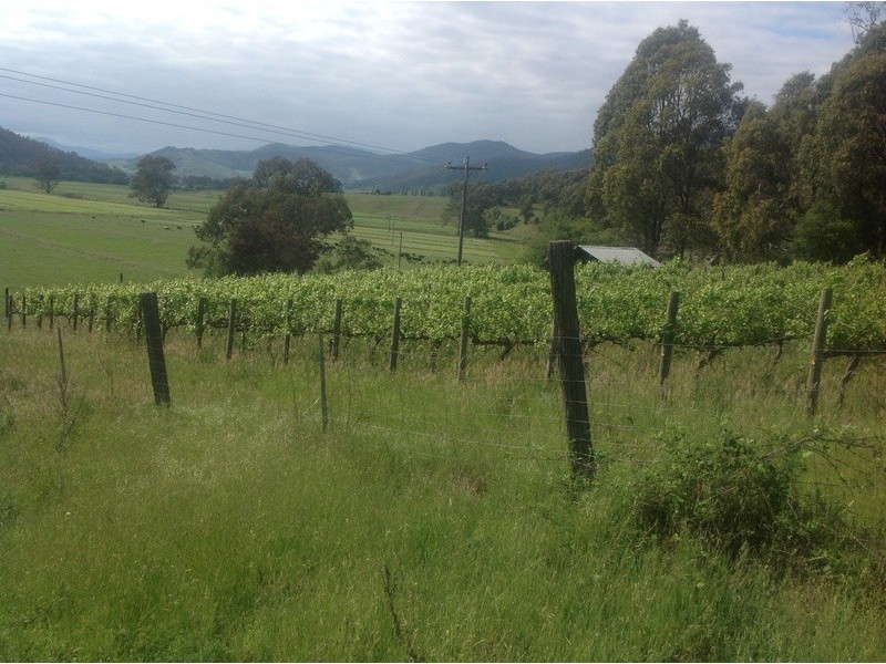 3256 Omeo Highway, Tallandoon VIC 3701