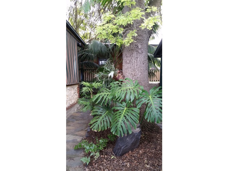 32 Old Honeypot Road, Port Noarlunga SA 5167