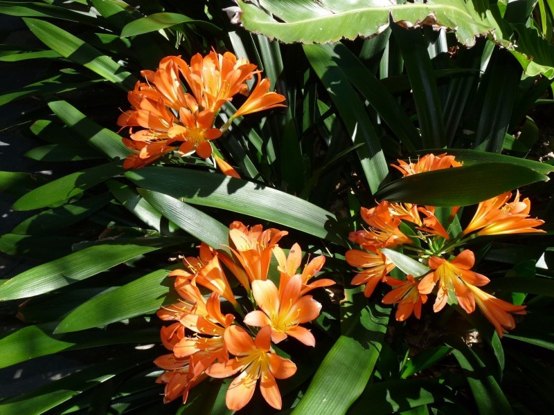 32 Old Honeypot Road, Port Noarlunga SA 5167