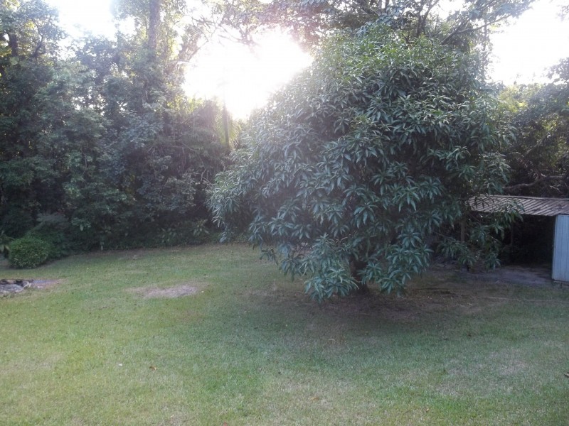 350 Forest Creek Road, Daintree QLD 4873