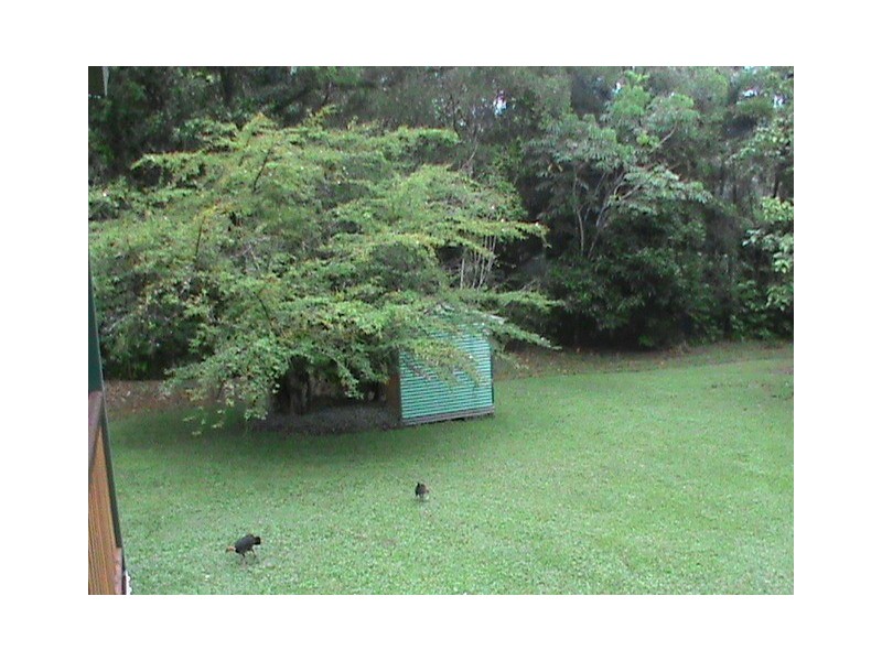 350 Forest Creek Road, Daintree QLD 4873