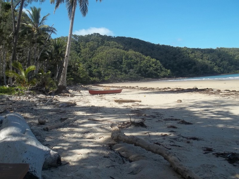 350 Forest Creek Road, Daintree QLD 4873