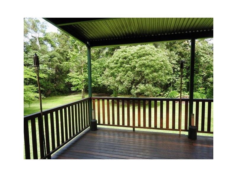 350 Forest Creek Road, Daintree QLD 4873