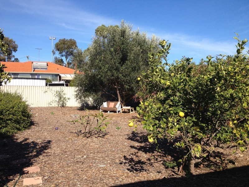 Hamilton Hill WA 6163