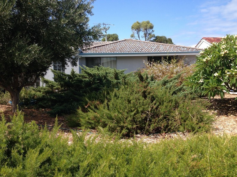 Hamilton Hill WA 6163