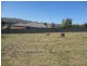 66 Firestone Way, Wodonga VIC 3690