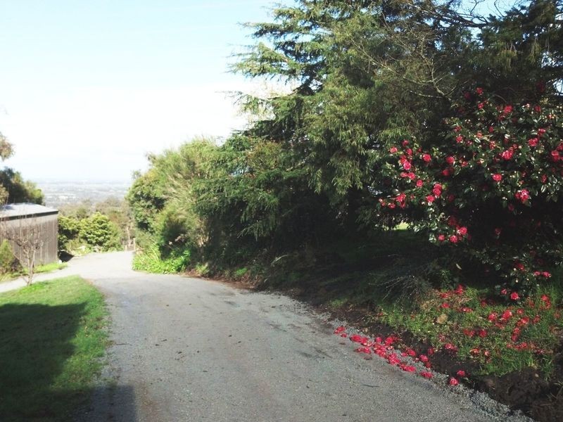 Lot 1 Whiteside Rd, Officer VIC 3809