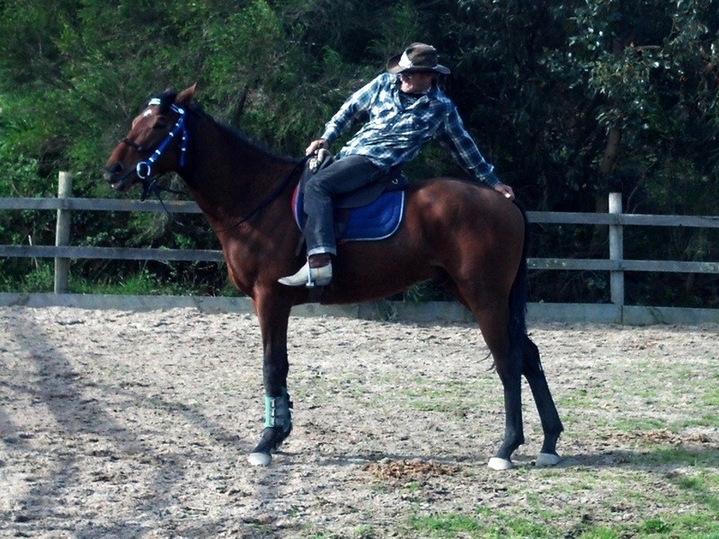 Lot 1 Whiteside Rd, Officer VIC 3809