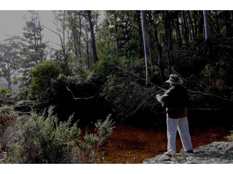 1 Irish Town Rd, St Marys TAS 7215