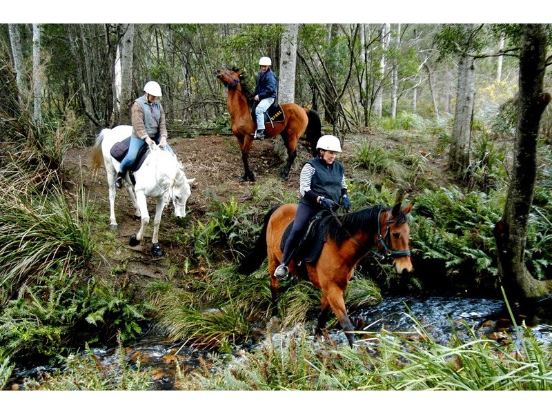 1 Irish Town Rd, St Marys TAS 7215