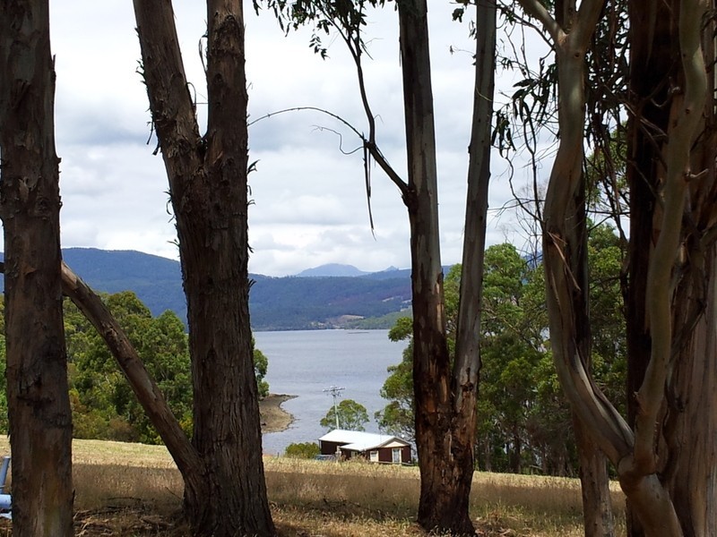 1278 Cygney Coast Road, Lower Wattle Grove TAS 7109