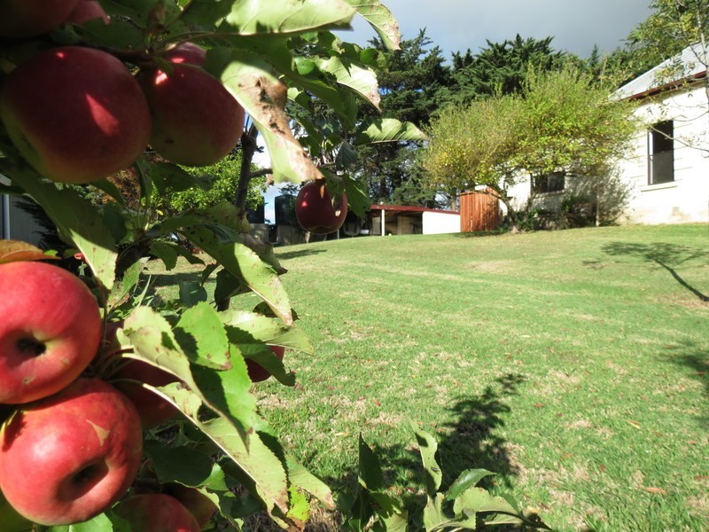 297 Yahl Hall Road, Yahl SA 5291