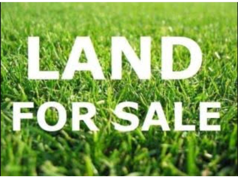 124 White st, Wavell Heights QLD 4012