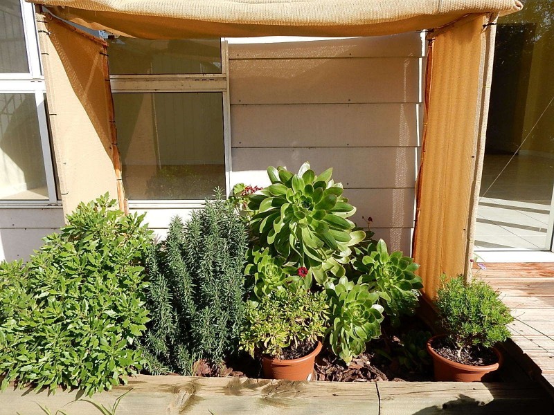 14 Cedar Avenue, Woodville South SA 5011