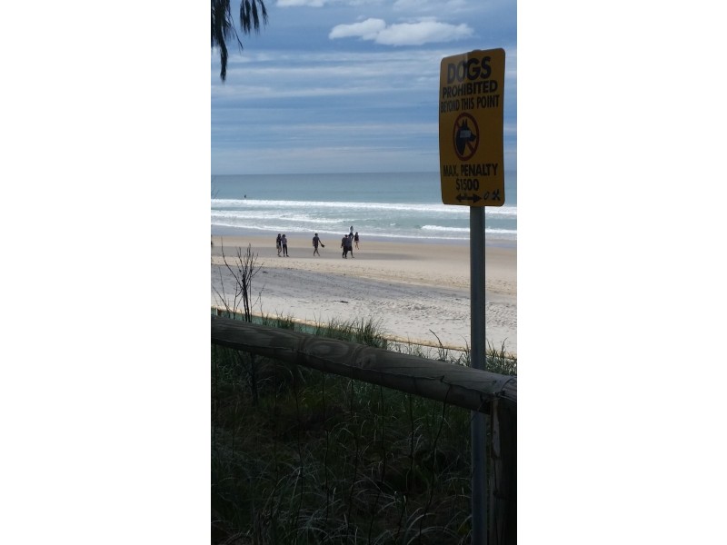 3033 Surfers Paradise Boulevarde, Surfers Paradise QLD 4217