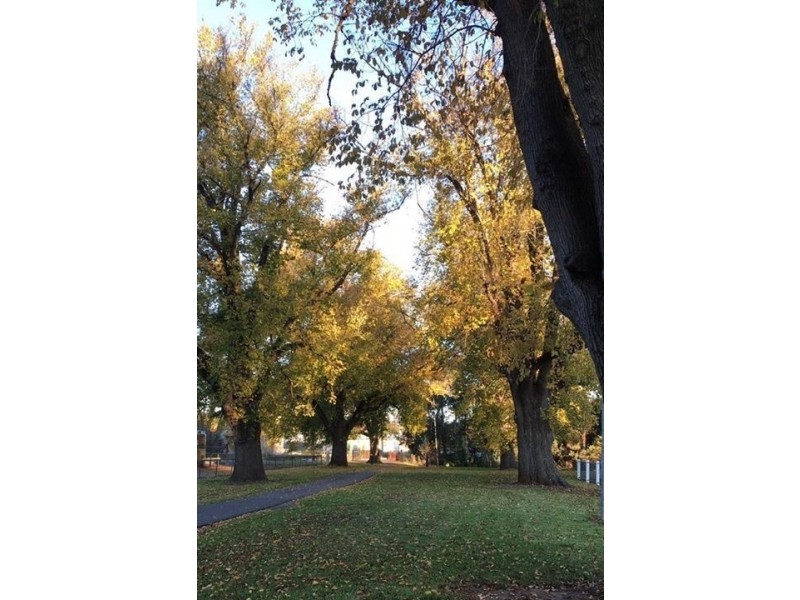 18 Hack Street, Mount Barker SA 5251