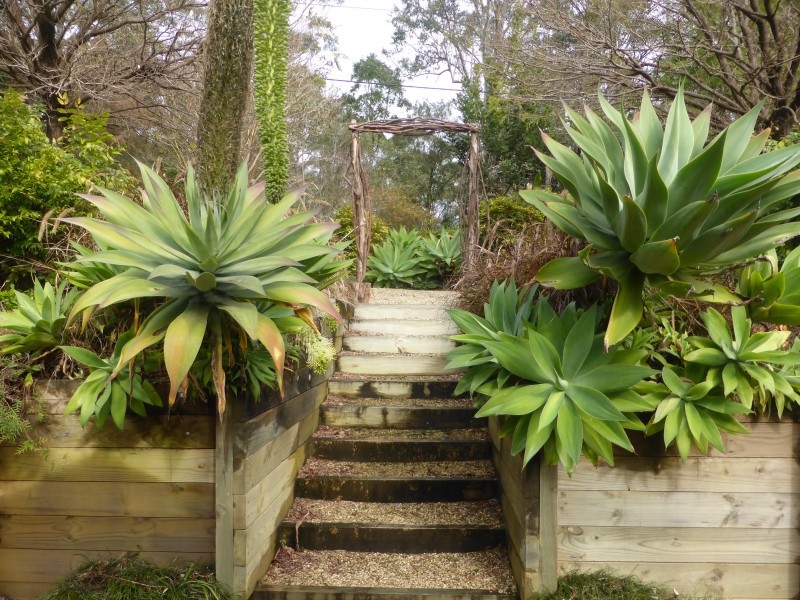 111  Cutrock Road, Ourimbah NSW 2258