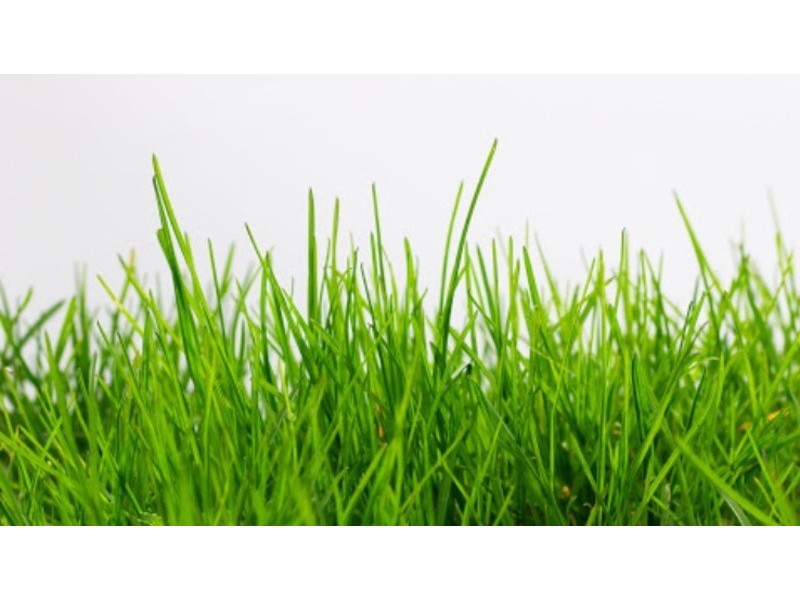 8/224 Labouchere Road, Como WA 6152