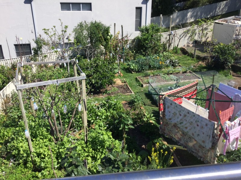 8 Blairs Road, Long Beach NSW 2536