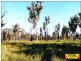 Lot 15 Goondiwindi, Millmerran Hwy, Millmerran QLD 4357