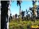 Lot 15 Goondiwindi, Millmerran Hwy, Millmerran QLD 4357