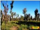 Lot 15 Goondiwindi, Millmerran Hwy, Millmerran QLD 4357