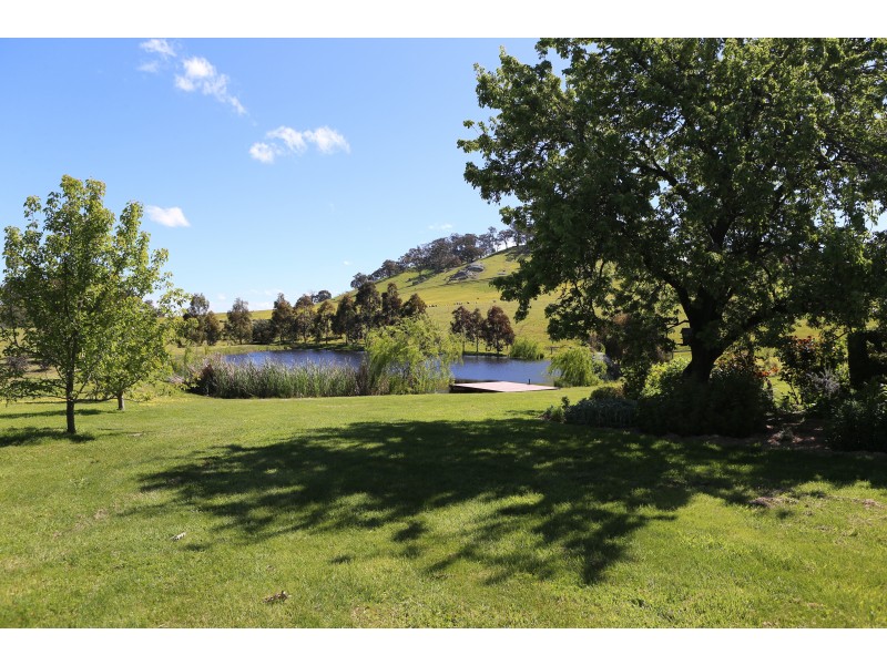 453  Galls Gap Road, Strathbogie VIC 3666