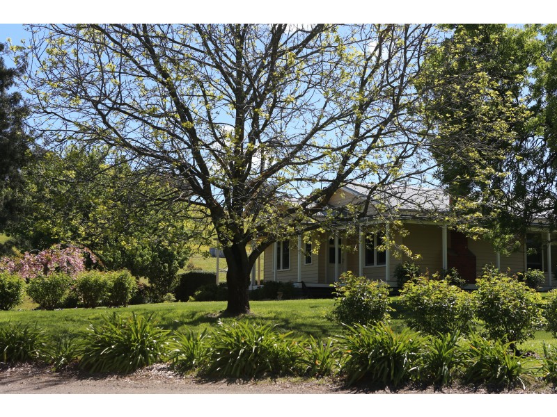 453  Galls Gap Road, Strathbogie VIC 3666