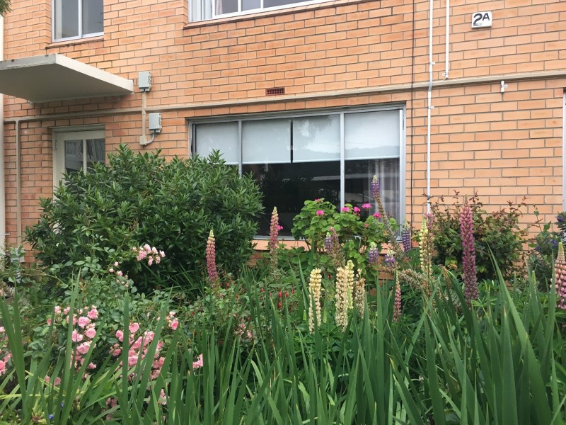 3/2A Sayer Crescent, Sandy Bay TAS 7005