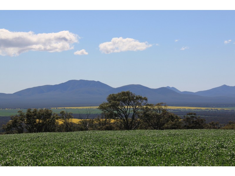 52 Ferry Road, Mount Barker WA 6324