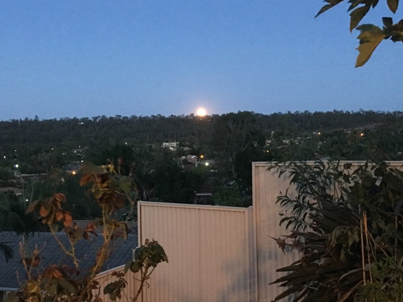 10 Broadway drive, Oxenford QLD 4210