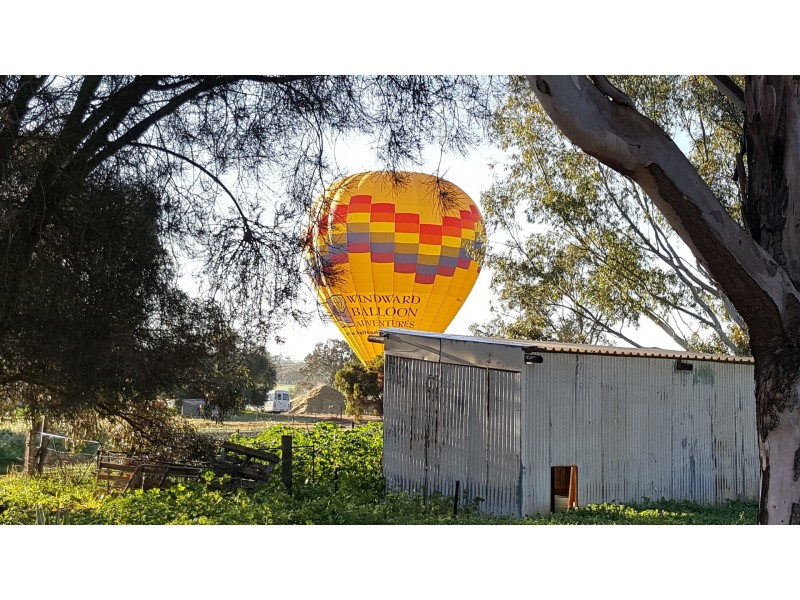 Lot 111 Withers Street, Northam WA 6401