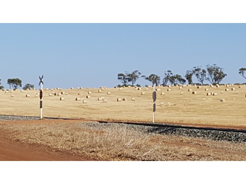 Lot 111 Withers Street, Northam WA 6401